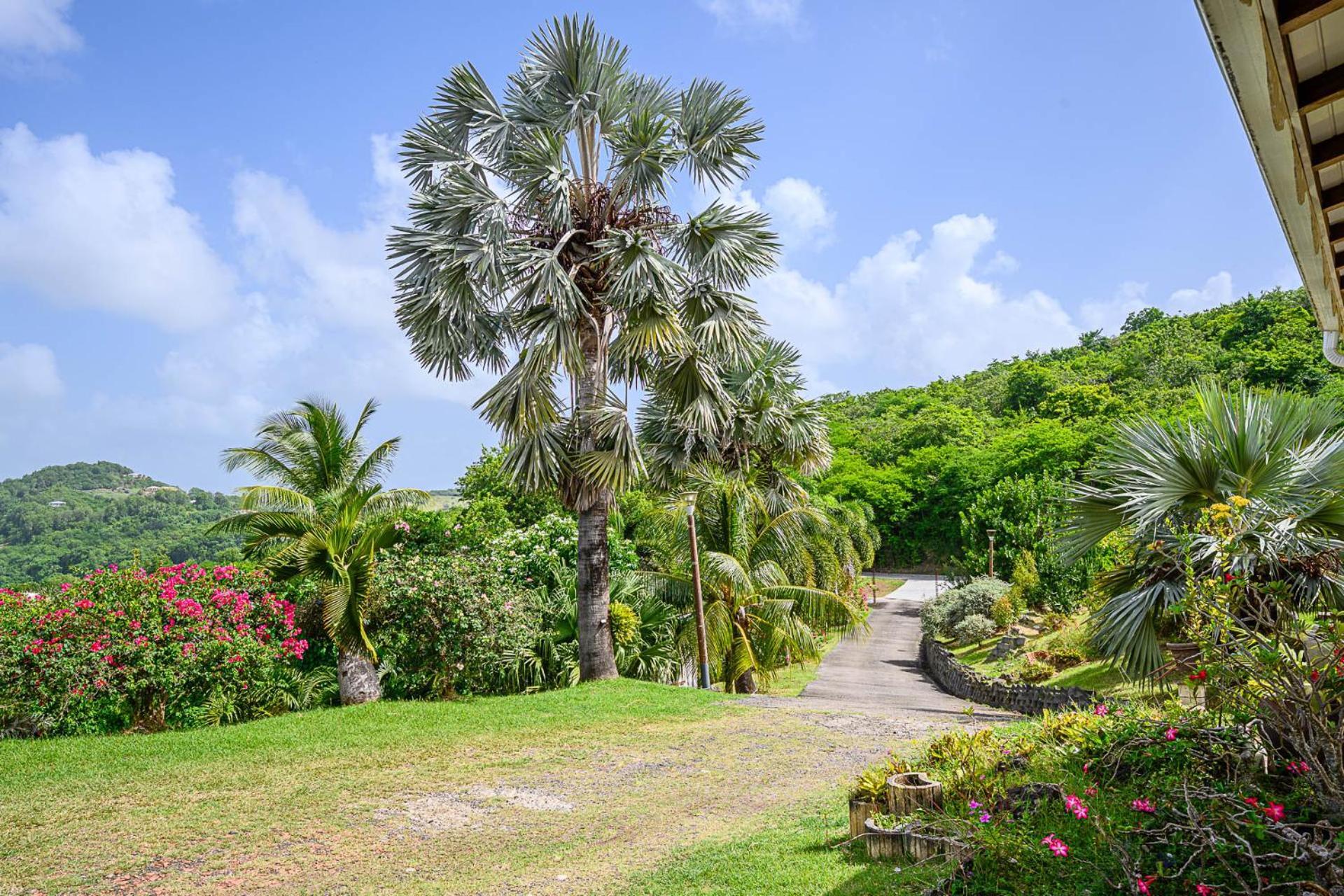 Bed And Breakfast Riviere Le Marin Exterior photo